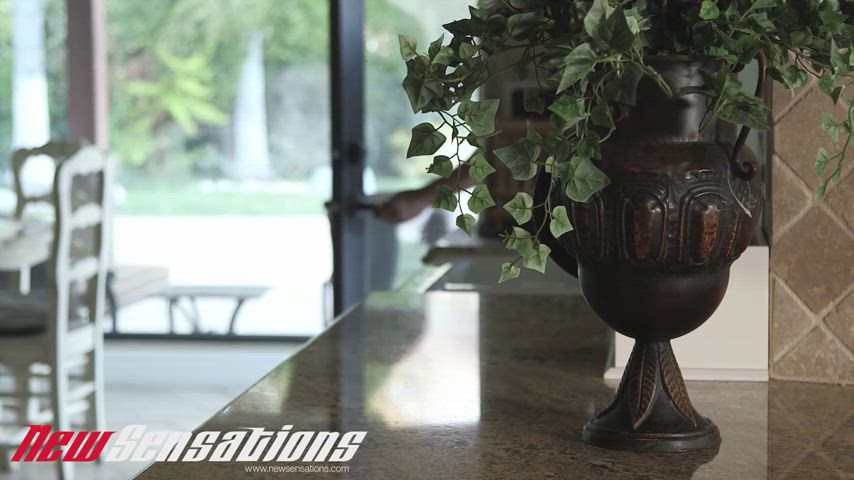 Sheena Ryder and Shane Diesel, Shane Diesels Black Blull For Hire