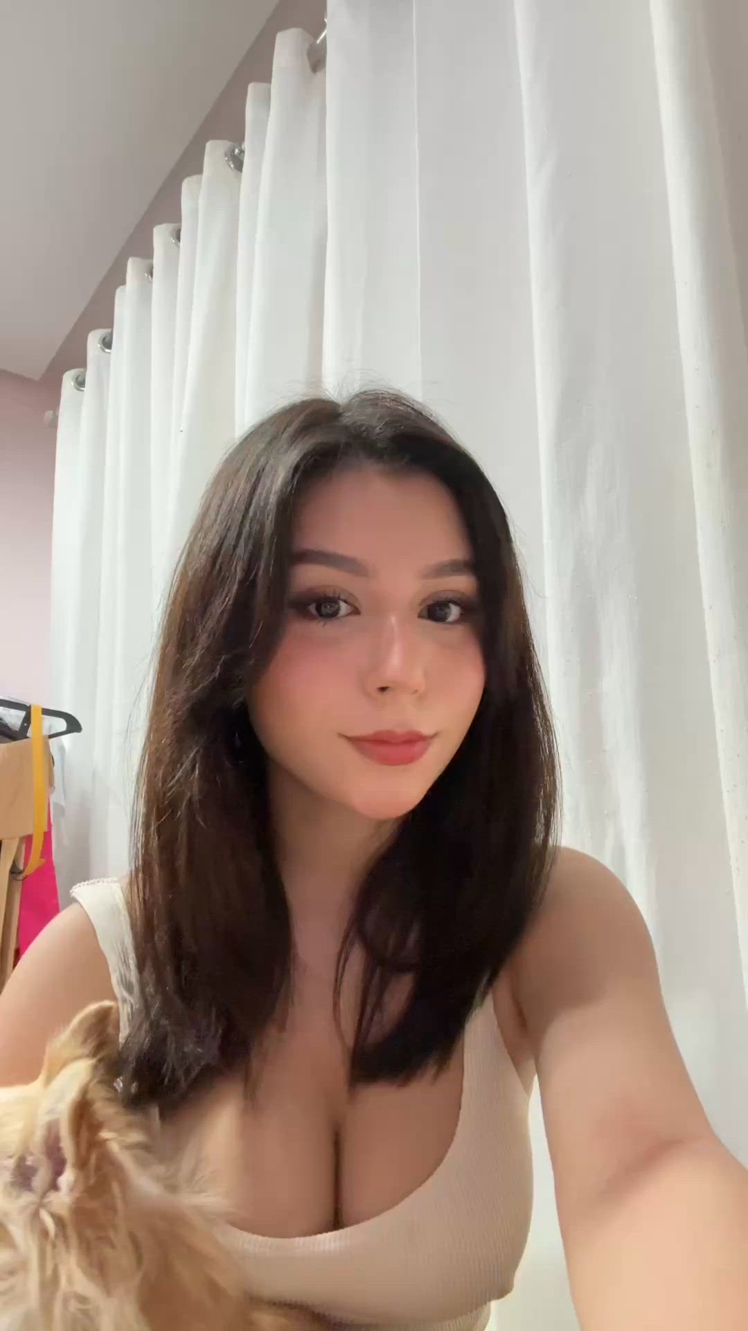 Cute puppy