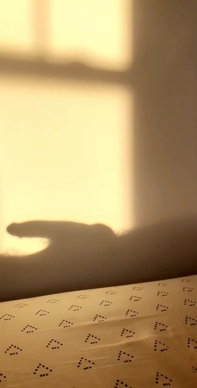 Do you play with your shadow? 👥