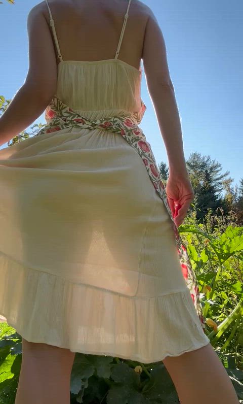 A simple dress in the garden