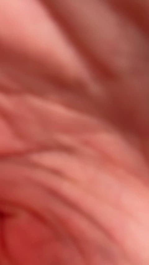 your sweet delight thumbnail