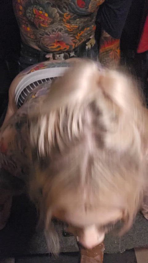 LawfulWorriedIrishredandwhitesetter thumbnail