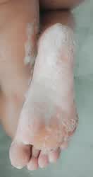 lawngreenaptalligatorgar