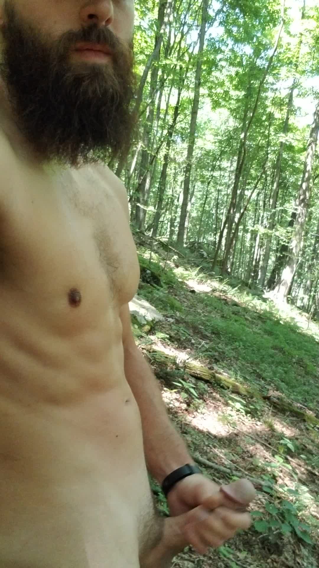 Sowing seeds in the forest