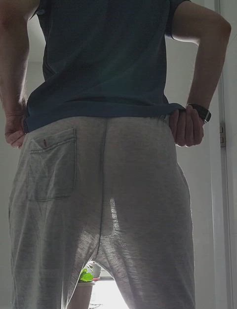 Ass Balls Big Balls Porn GIF by cab1122