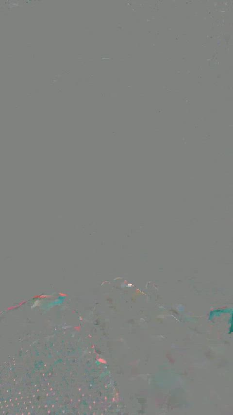 LightskyblueImpressiveRobberfly thumbnail