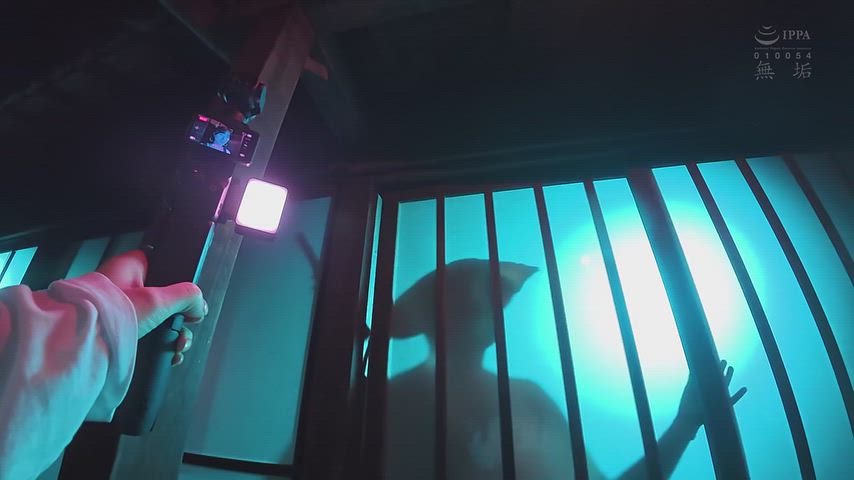 LightslategrayStiffSlothbear thumbnail