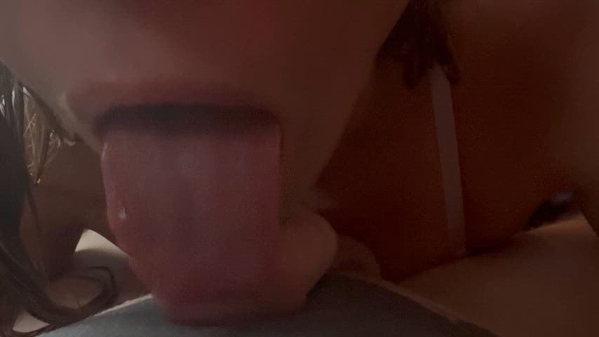 LightsteelblueGulliblePuppy thumbnail
