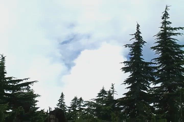 LightsteelblueSkinnyHawk thumbnail