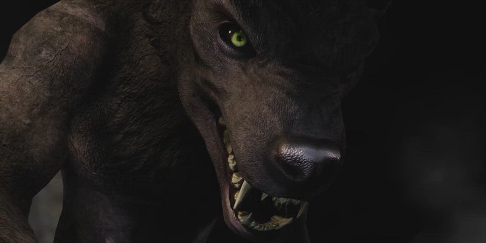 Captured By Werewolves (3DErotica)