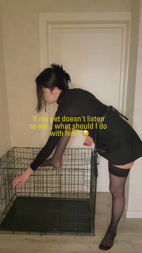 LimitedWorseHypsilophodon thumbnail
