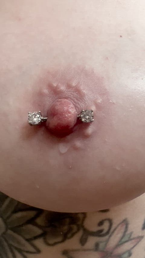 LinenExpertAlaskanhusky thumbnail