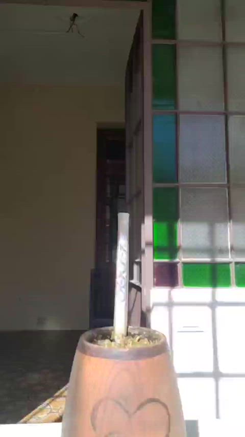 Mate and asses, two things that Argentines love.