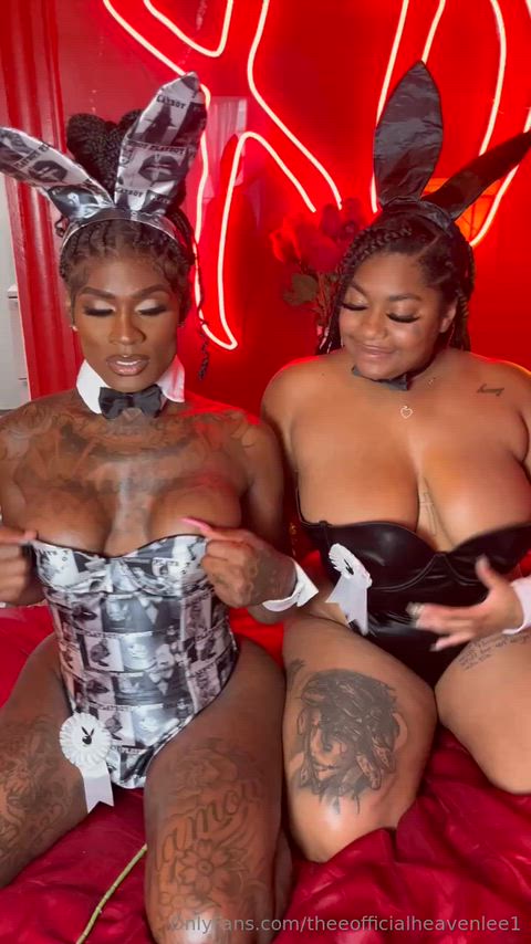 Would you FUCK these 🐰s