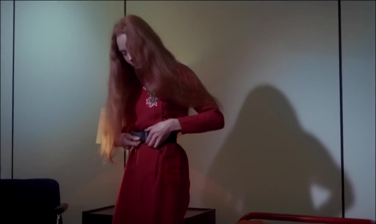 Dominique Journet - The Night of the Hunted