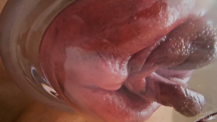 Massive pumped pussies are the best