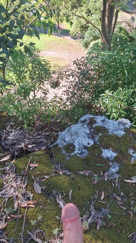 Do you think they would of stopped playing golf if they knew someone was jerking off up above them?