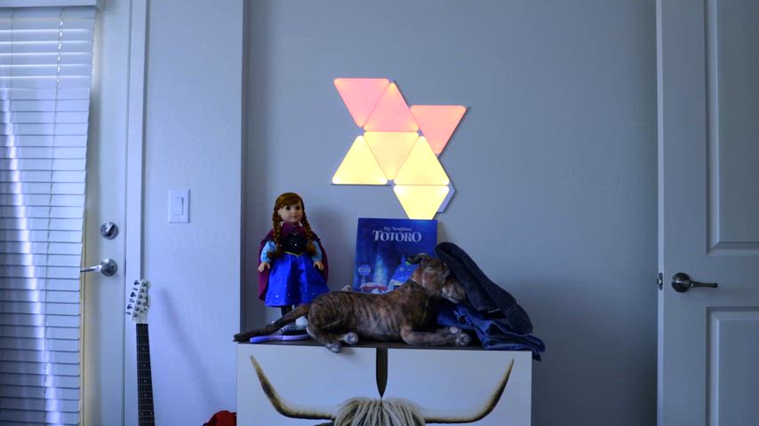 I'm fast asleep and wake up to a very messy surprise on my face