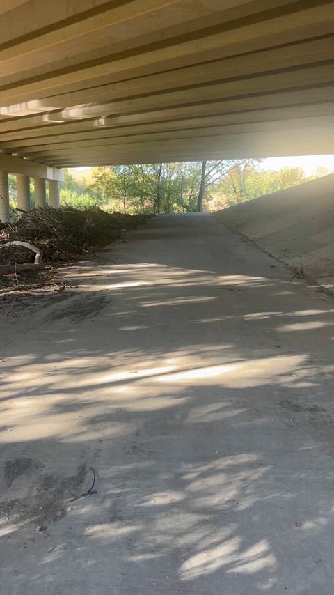 Catch us if you can!