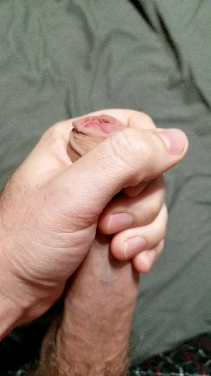 First post, am I in the right place?