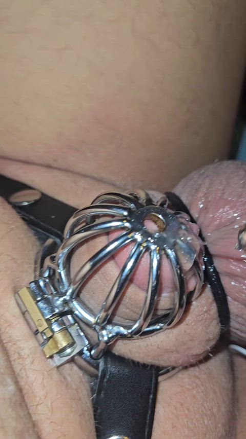Estim sounding through my cage