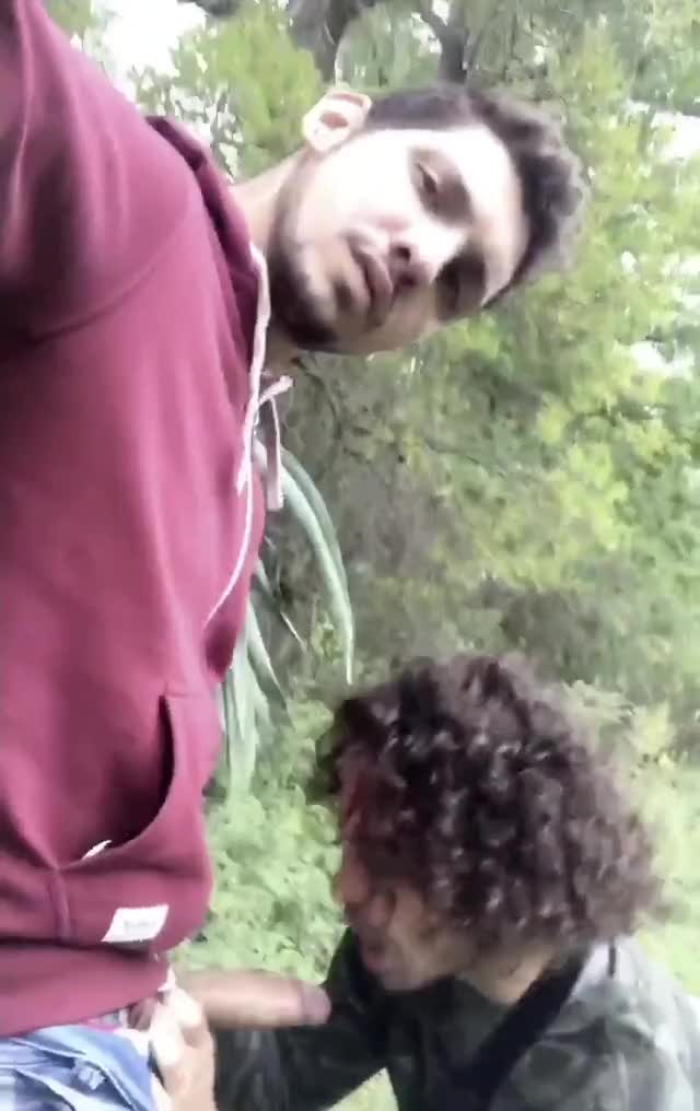 Fun in the Bushes 😉🇨🇦