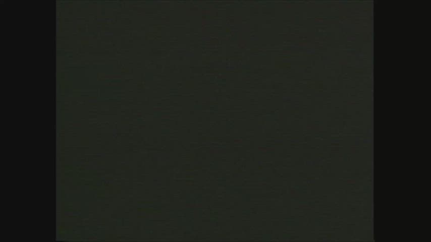 Sex Secrets of a Mistress - Christy Canyon with Mark Davis (VHS version)