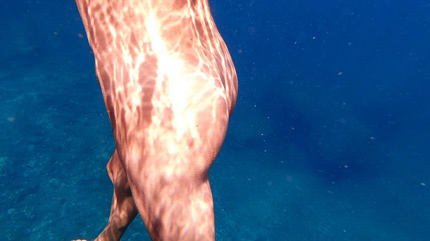 Would you like to swim underneath me… and get an even better view?