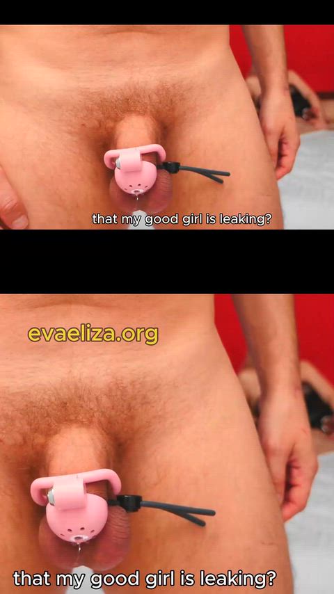 Chastity Femdom Goddess Mistress Porn GIF by eva_grant