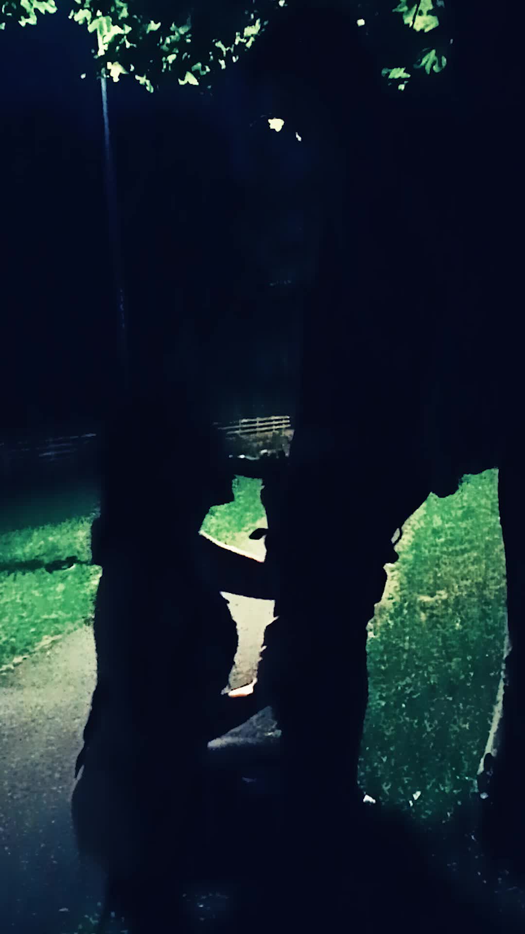 On my knees in the park after dark