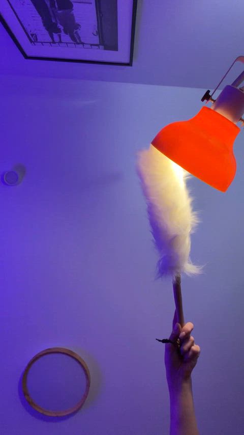 My dick could really use a polish