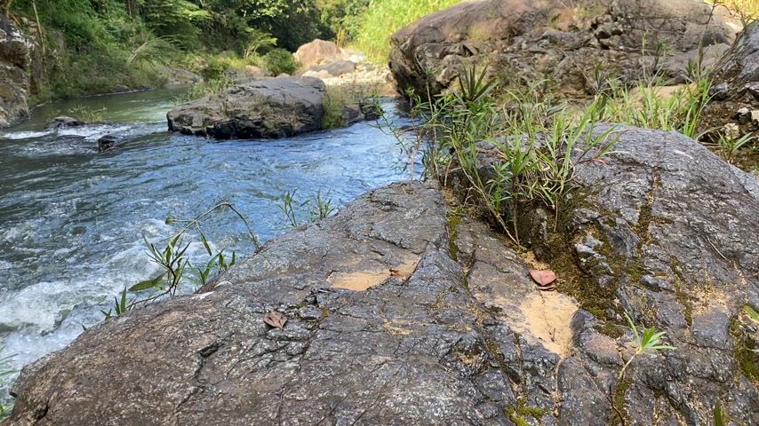 lil tease💦🖼️