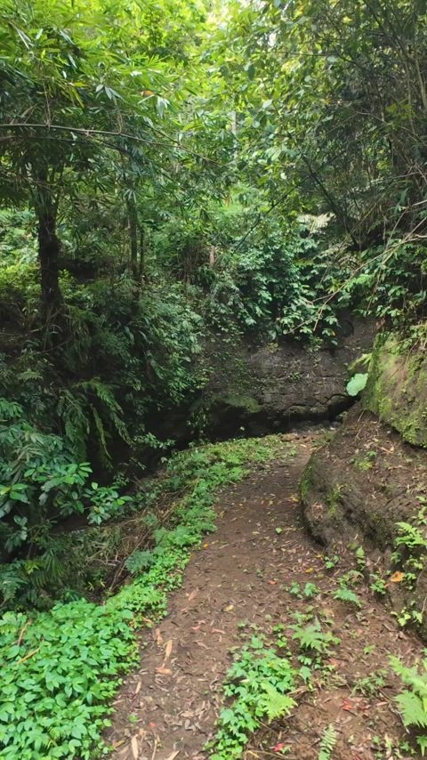 this little peek is just the beginning. imagine what’s next