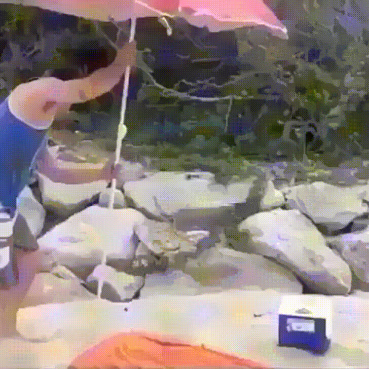 Nice umbrella holder
