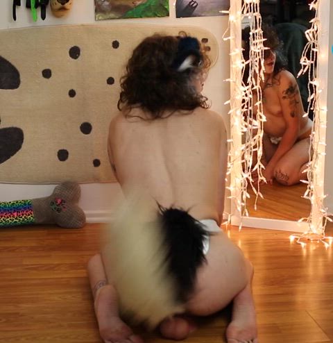 can i wag my tail on it?