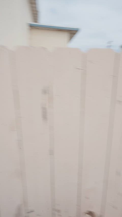 Us when we’re tryna take you home [gif]