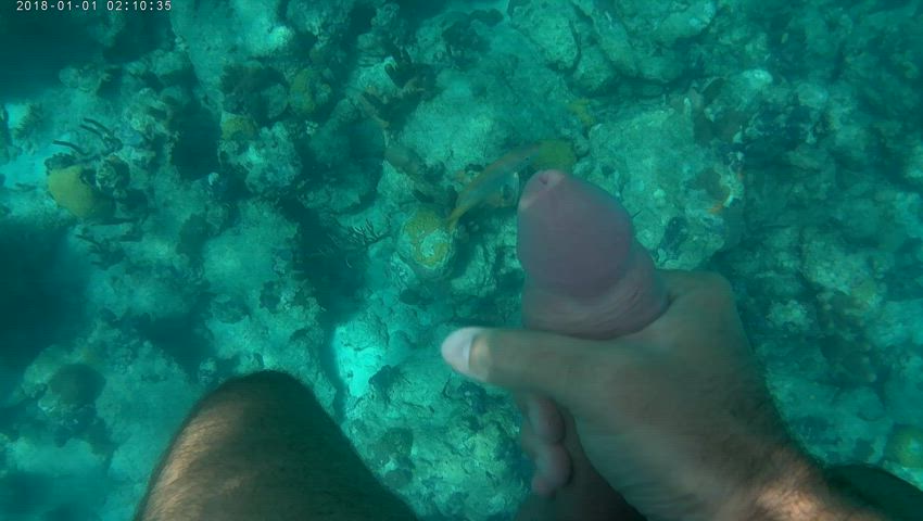 Underwater jerk at a busy beach