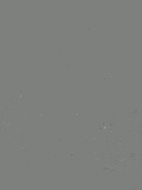 Would u take me from the rear?