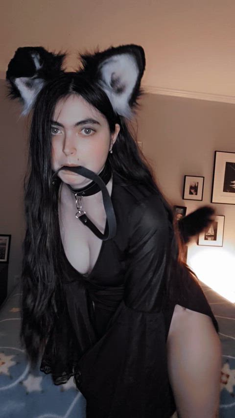 Cute lil puppy girl loves attention x3