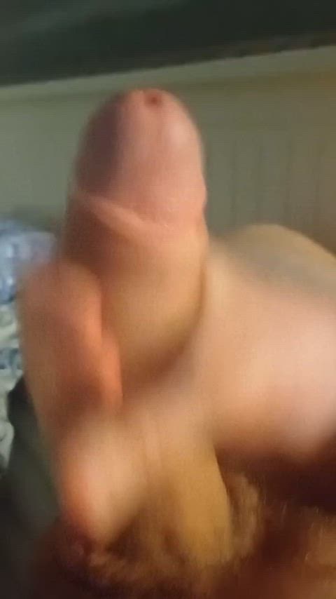 MustyOrneryLeopard thumbnail