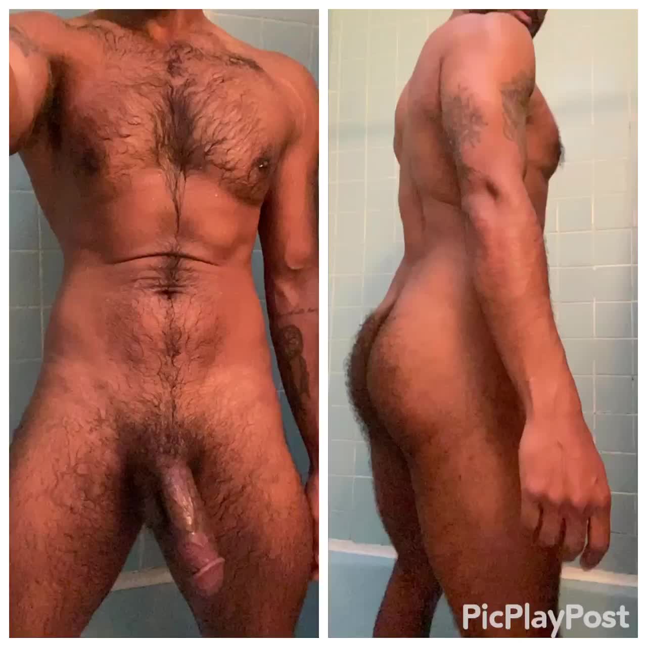 Which do you prefer ?