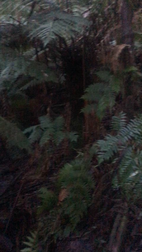 Got a little wild on my hike today... who's thirsty?