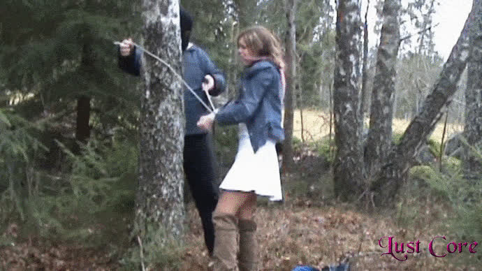 Walk in the forest