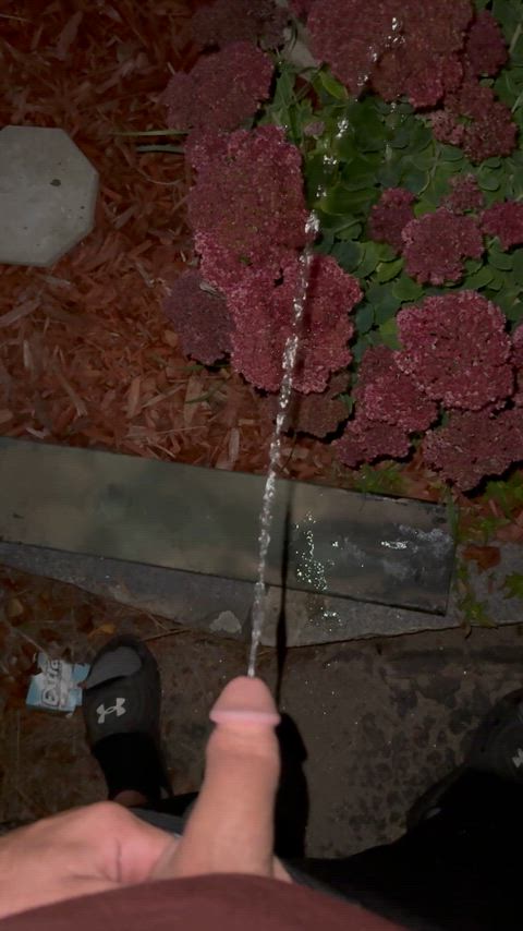 Help me water the garden