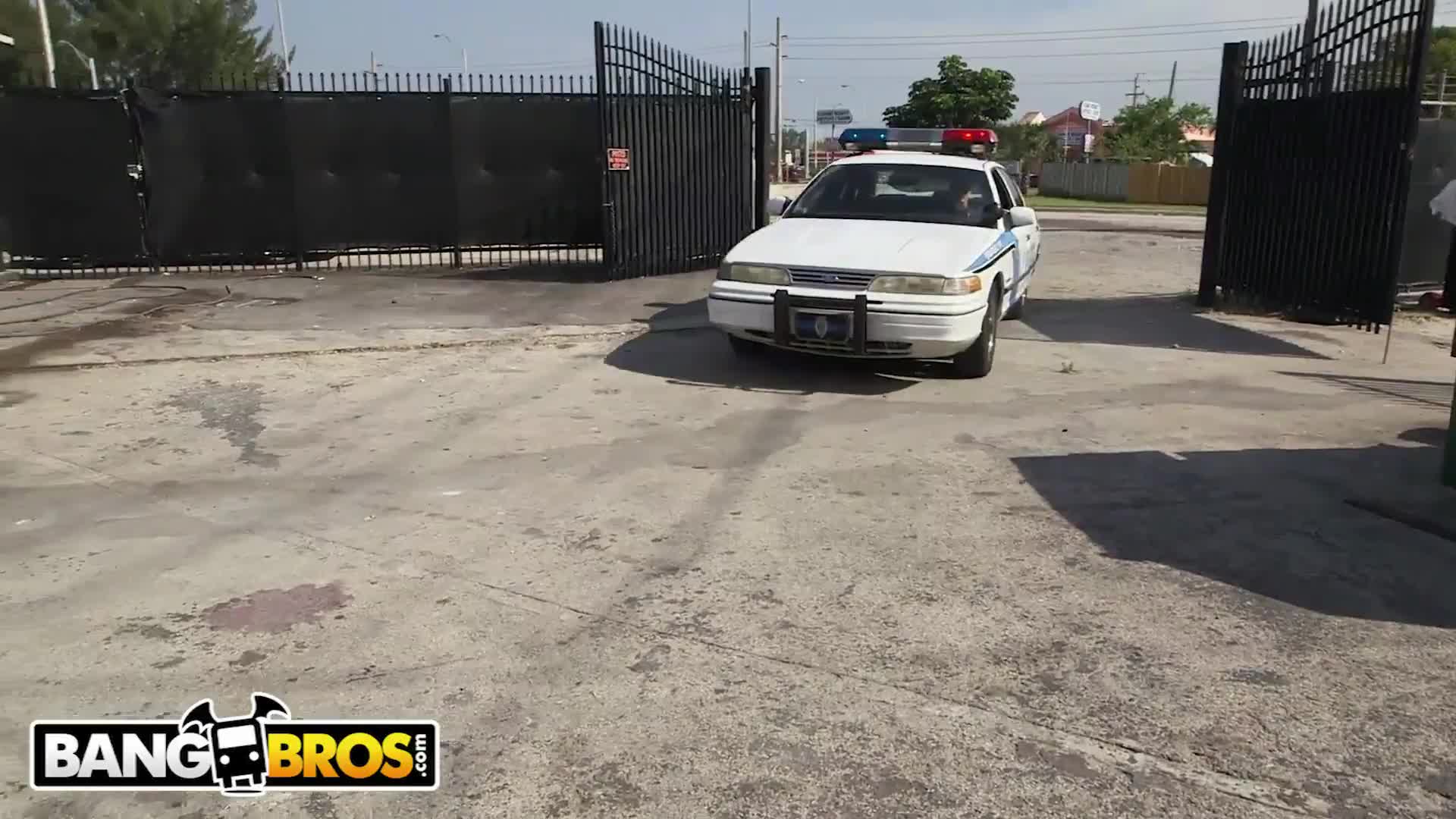 Cocks and Throbbers