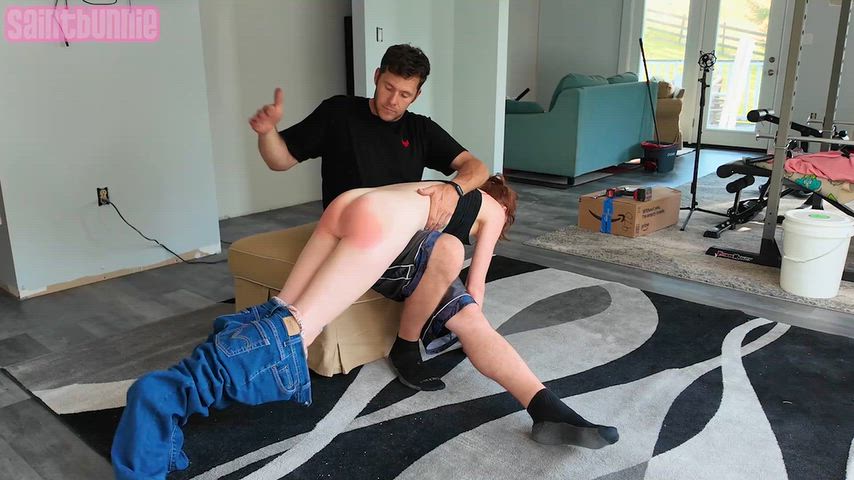 NervousJumpyAustraliansilkyterrier thumbnail
