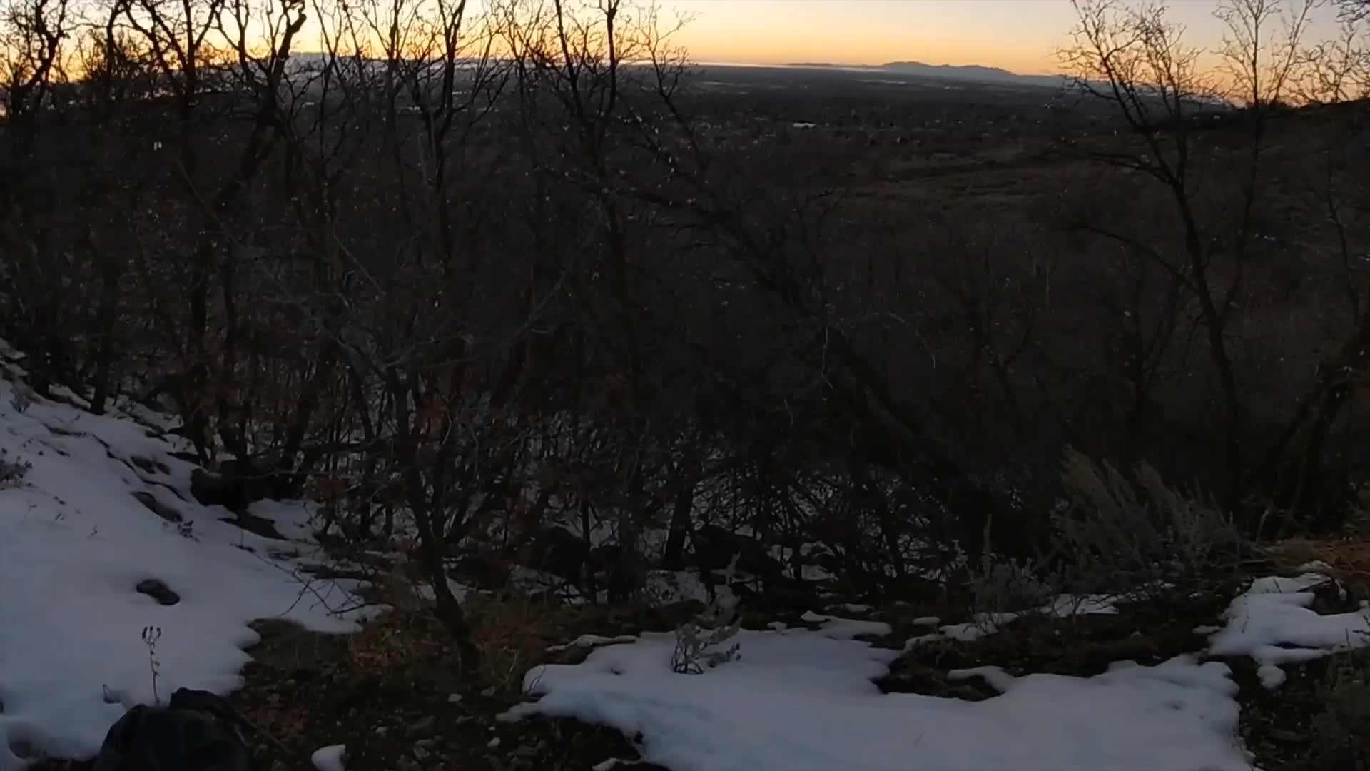 Sunset blowjob on the hiking trail 😛🍆