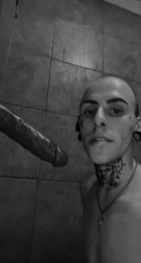 NimbleRedBarnswallow thumbnail