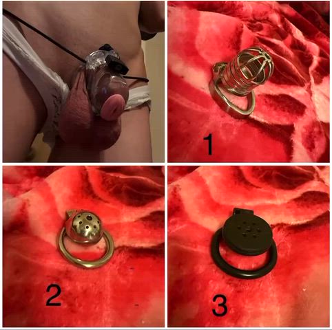 Getting close to the end of day 2 and the many who dm'd saying I need a smaller cage to be a good whiteboy. Should I keep this one or cut the lock and superglue into a smaller one? Comment your pick and I'll post a pic with the winner!