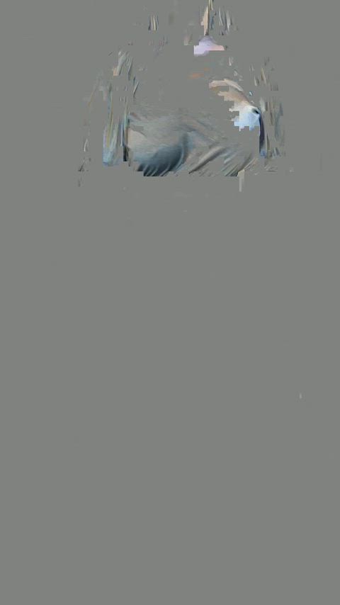 Just pick me up and breed me